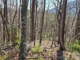 Lot 57 Banjo Court - Photo 6