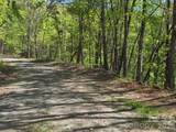 Lot 64 &  65 Walnut Lane - Photo 5