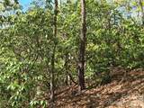 Lot 64 &  65 Walnut Lane - Photo 6