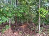 1600 Lillians Point Court - Photo 9