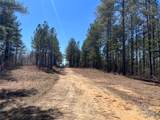 898 Burnt Gin Road - Photo 40