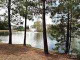 44429 Oriole Drive - Photo 5