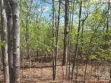 Lot 13 Back Hollow Drive - Photo 6