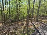Lot 13 Back Hollow Drive - Photo 8