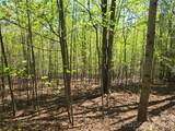 Lot 14 Back Hollow Drive - Photo 1
