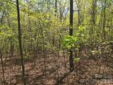 Lot 14 Back Hollow Drive - Photo 5