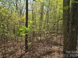 Lot 14 Back Hollow Drive - Photo 6