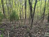 Lot 15 Touch Me Not Trail - Photo 5