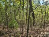 Lot 15 Touch Me Not Trail - Photo 8