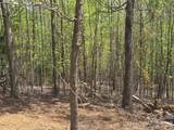 Lot 16 High Rock Ridge - Photo 6