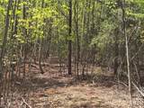 Lot 20 Touch Me Not Trail - Photo 9