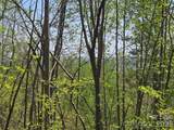 Lot 25 High Rock Ridge - Photo 12