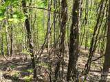 Lot 33 Turkey Fall Lane - Photo 3
