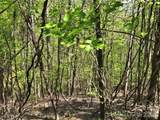 Lot 33 Turkey Fall Lane - Photo 5