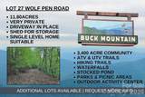 TBD Wolf Pen Road - Photo 1