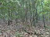 TBD Wolf Pen Road - Photo 13