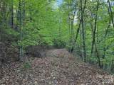 TBD Wolf Pen Road - Photo 7