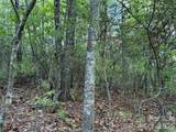 TBD Wolf Pen Road - Photo 9