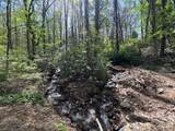 TBD (B) Browning Branch Road - Photo 4