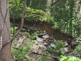 TBD (B) Browning Branch Road - Photo 7