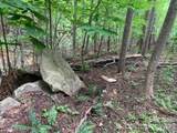 42.16 ACS Green River Cove Road - Photo 18