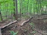 42.16 ACS Green River Cove Road - Photo 19
