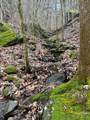 42.16 ACS Green River Cove Road - Photo 23