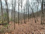 42.16 ACS Green River Cove Road - Photo 10
