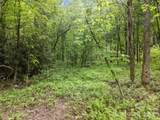 000 Red Fox Lane - Photo 11
