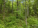 000 Red Fox Lane - Photo 17