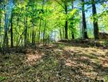TBD Lucky Leaf Lane - Photo 2