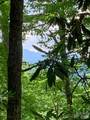 TBD Lucky Leaf Lane - Photo 13