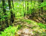TBD Lucky Leaf Lane - Photo 5