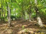 TBD Lucky Leaf Lane - Photo 7