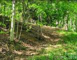 TBD Lucky Leaf Lane - Photo 8