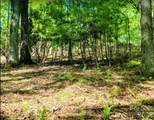 TBD Lucky Leaf Lane - Photo 10