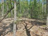 000 Ravenwood Drive - Photo 11