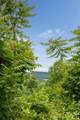 22 Samuel Ashe Drive - Photo 9