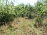 Lot 9 High Rock Ridge - Photo 4