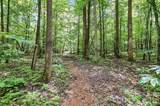 6 Hager Mountain Lane - Photo 11