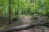 6 Hager Mountain Lane - Photo 13