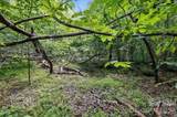 6 Hager Mountain Lane - Photo 15