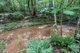 6 Hager Mountain Lane - Photo 19