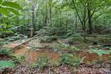 6 Hager Mountain Lane - Photo 21
