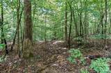 6 Hager Mountain Lane - Photo 6