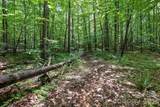 6 Hager Mountain Lane - Photo 8