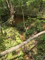 Lot 10 State Line Road - Photo 4