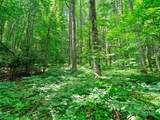 #2 TBD Lotties Creek Road - Photo 1