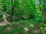 #3 TBD Lotties Creek Road - Photo 1
