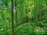 #3 TBD Lotties Creek Road - Photo 12